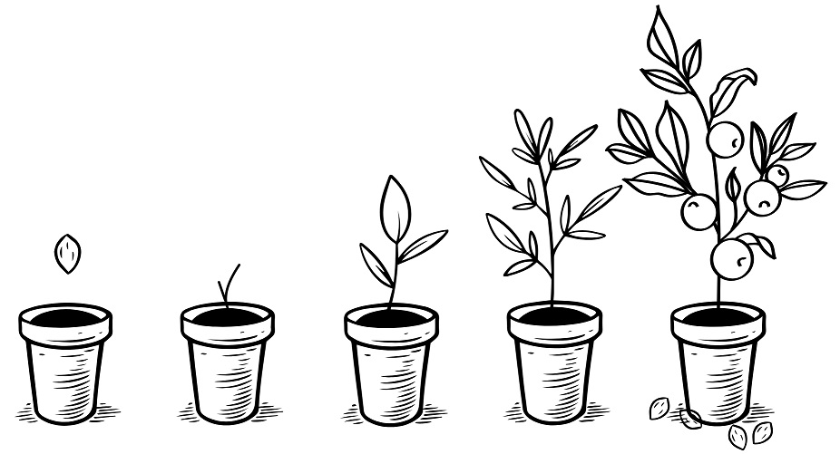 Growth Image